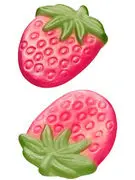 Frisia Fraise Végan 100gr