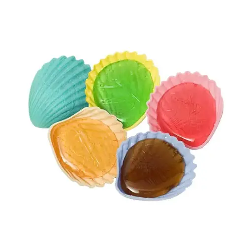 Roudoudou coquillage